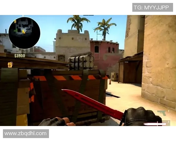 CSGO战术解析：深入探讨BLG战队的进攻策略与执行技巧